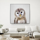 Baby Owl - Colorful by Gal Pittel on GIANT ART - brown digital painting