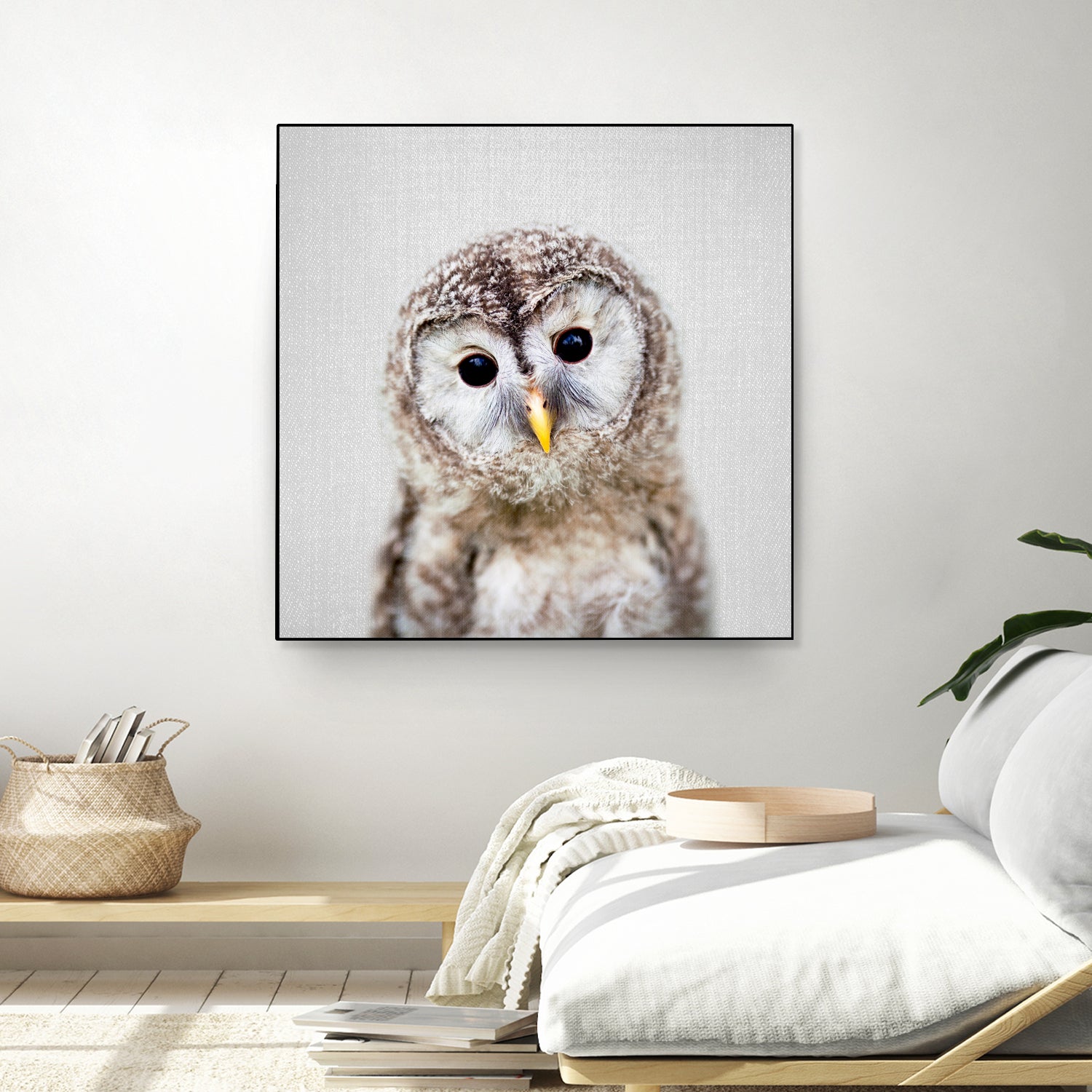 Baby Owl - Colorful by Gal Pittel on GIANT ART - brown digital painting