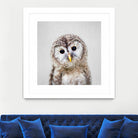 Baby Owl - Colorful by Gal Pittel on GIANT ART - brown digital painting