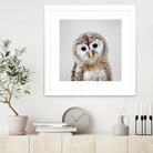 Baby Owl - Colorful by Gal Pittel on GIANT ART - brown digital painting