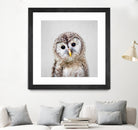 Baby Owl - Colorful by Gal Pittel on GIANT ART - brown digital painting