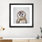 Baby Owl - Colorful by Gal Pittel on GIANT ART - brown digital painting