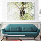 Dreamy Birch Tree 1 by Anitas Bellas Art on GIANT ART - coastal