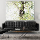 Dreamy Birch Tree 1 by Anitas Bellas Art on GIANT ART - coastal