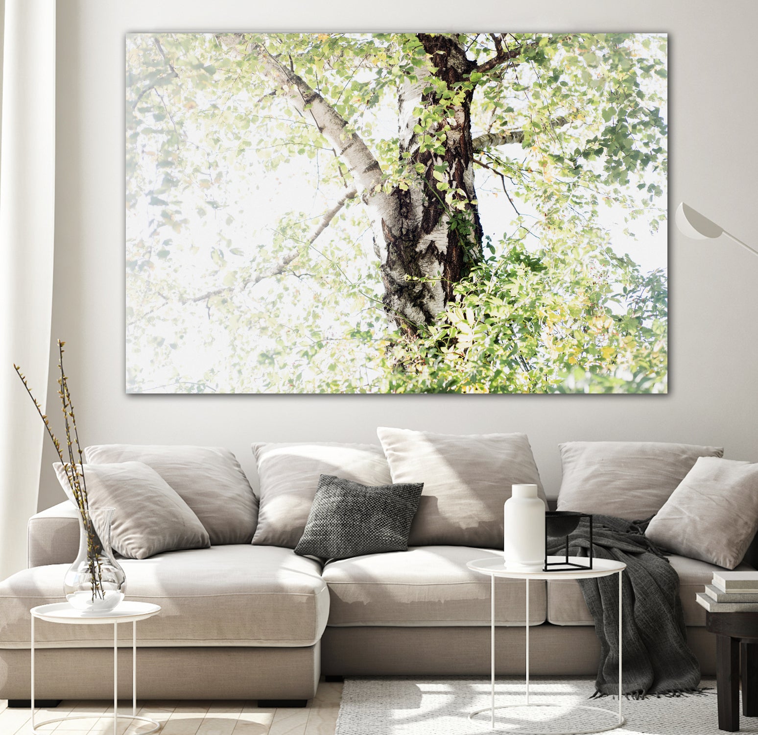 Dreamy Birch Tree 1 by Anitas Bellas Art on GIANT ART - coastal