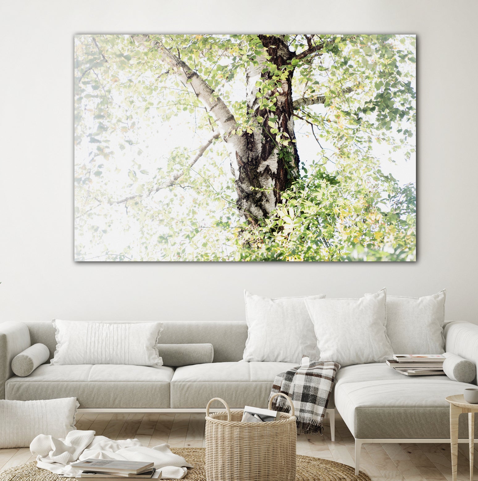 Dreamy Birch Tree 1 by Anitas Bellas Art on GIANT ART - coastal