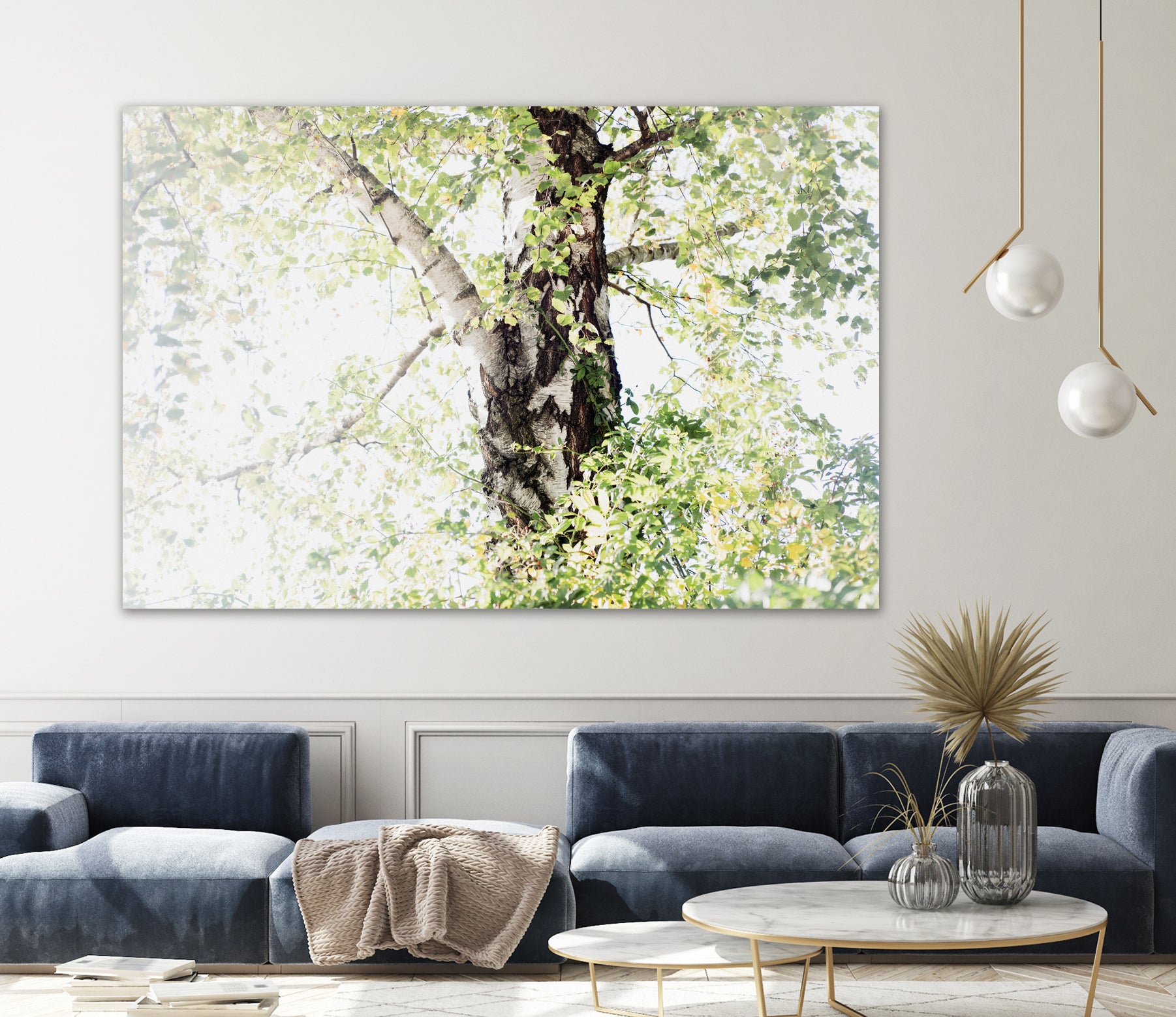 Dreamy Birch Tree 1 by Anitas Bellas Art on GIANT ART - coastal