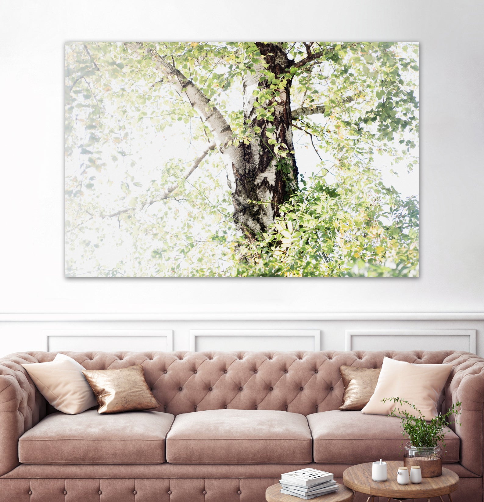 Dreamy Birch Tree 1 by Anitas Bellas Art on GIANT ART - coastal