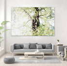 Dreamy Birch Tree 1 by Anitas Bellas Art on GIANT ART - coastal