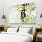 Dreamy Birch Tree 1 by Anitas Bellas Art on GIANT ART - coastal