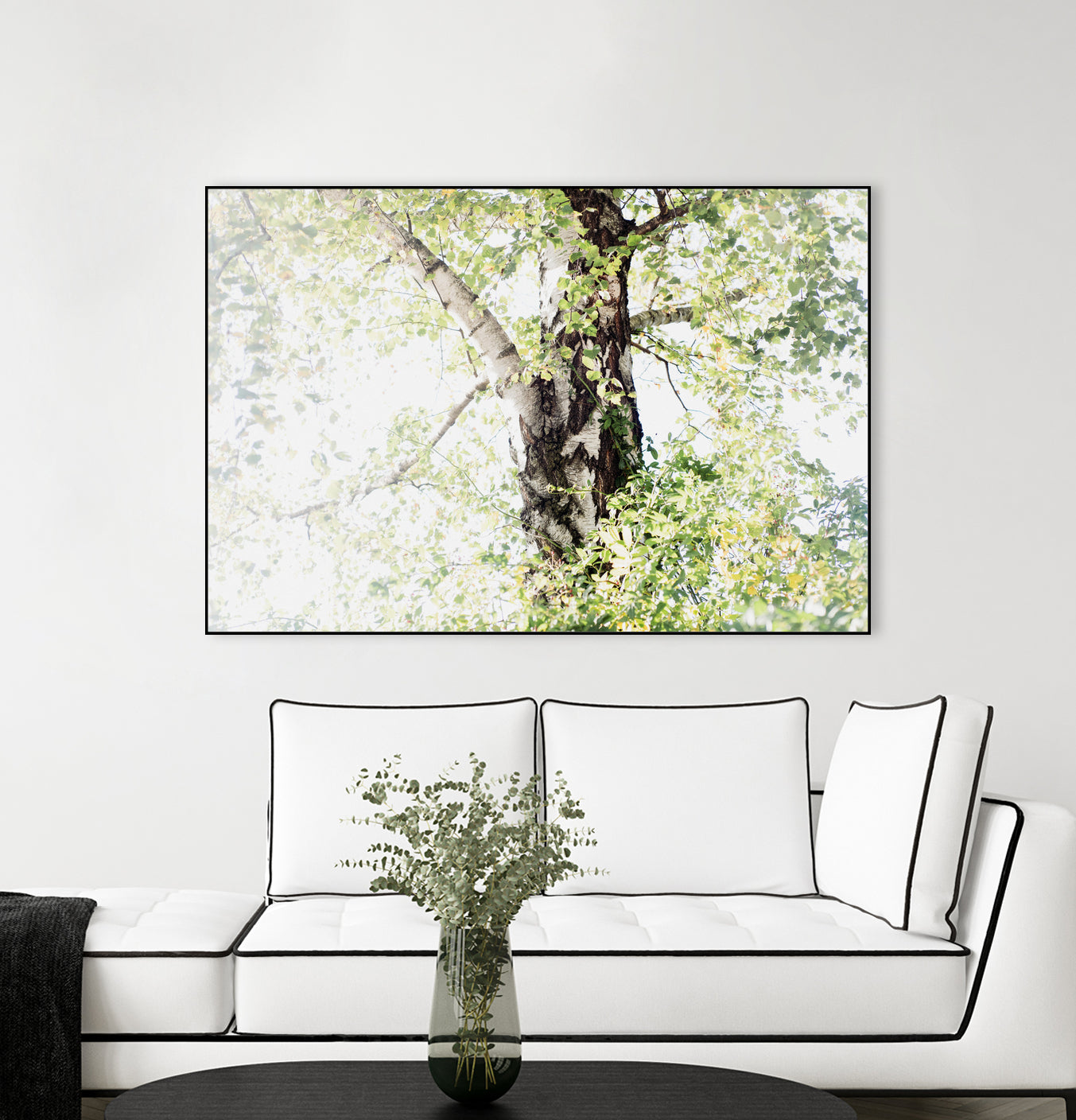 Dreamy Birch Tree 1 by Anitas Bellas Art on GIANT ART - coastal