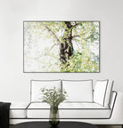 Dreamy Birch Tree 1 by Anitas Bellas Art on GIANT ART - coastal