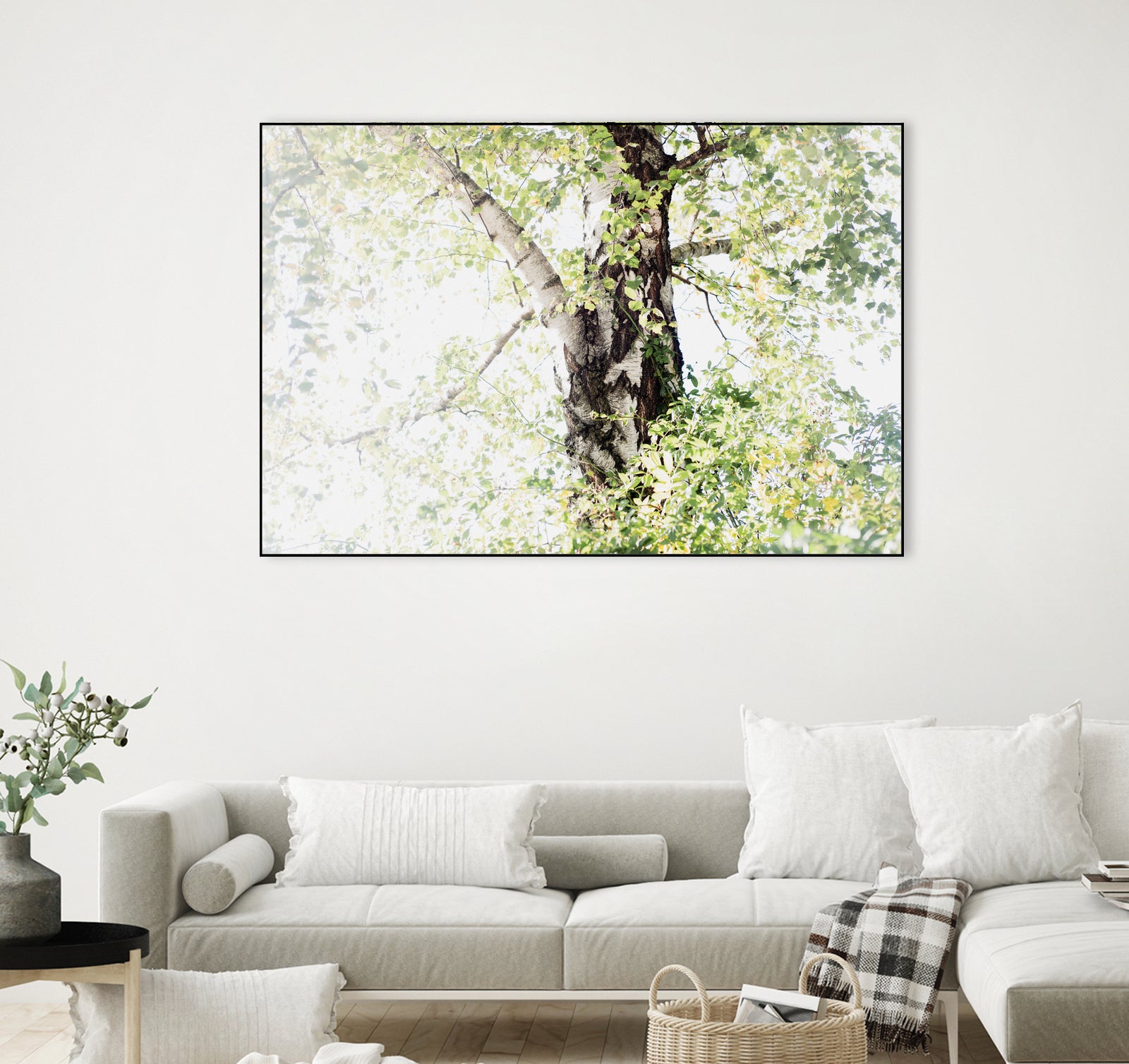 Dreamy Birch Tree 1 by Anitas Bellas Art on GIANT ART - coastal