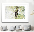 Dreamy Birch Tree 1 by Anitas Bellas Art on GIANT ART - coastal