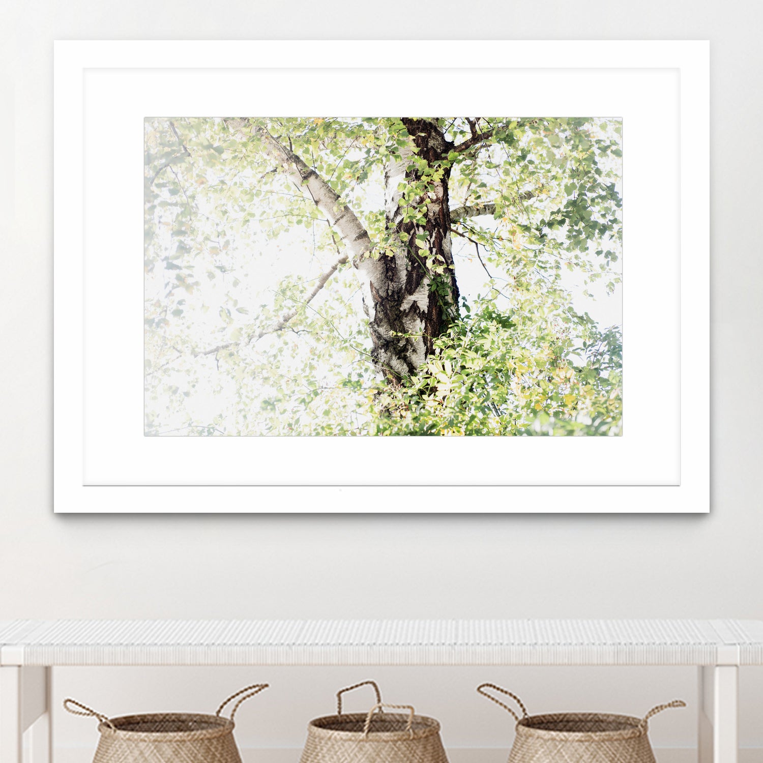 Dreamy Birch Tree 1 by Anitas Bellas Art on GIANT ART - coastal