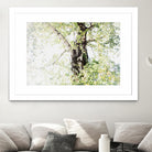 Dreamy Birch Tree 1 by Anitas Bellas Art on GIANT ART - coastal