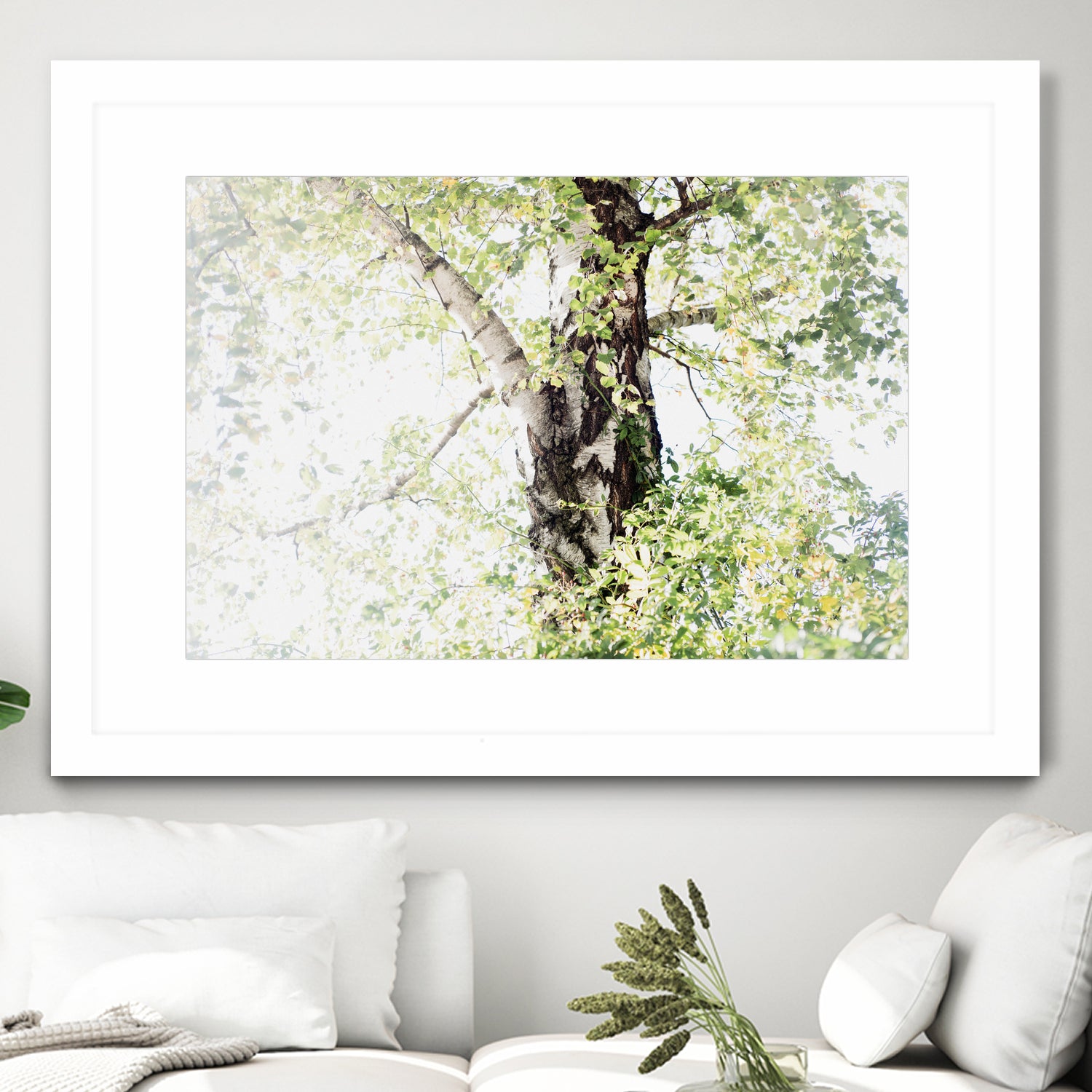 Dreamy Birch Tree 1 by Anitas Bellas Art on GIANT ART - coastal