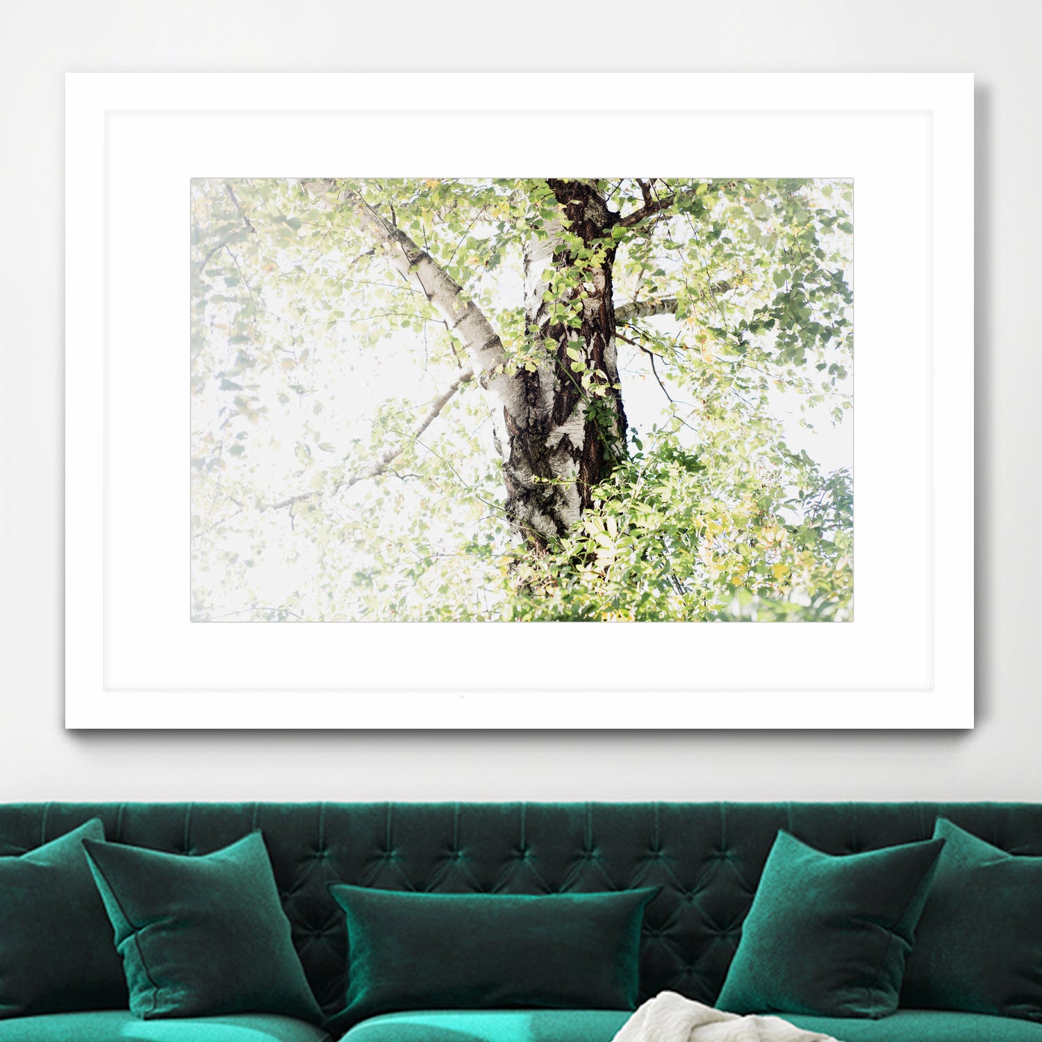 Dreamy Birch Tree 1 by Anitas Bellas Art on GIANT ART - coastal