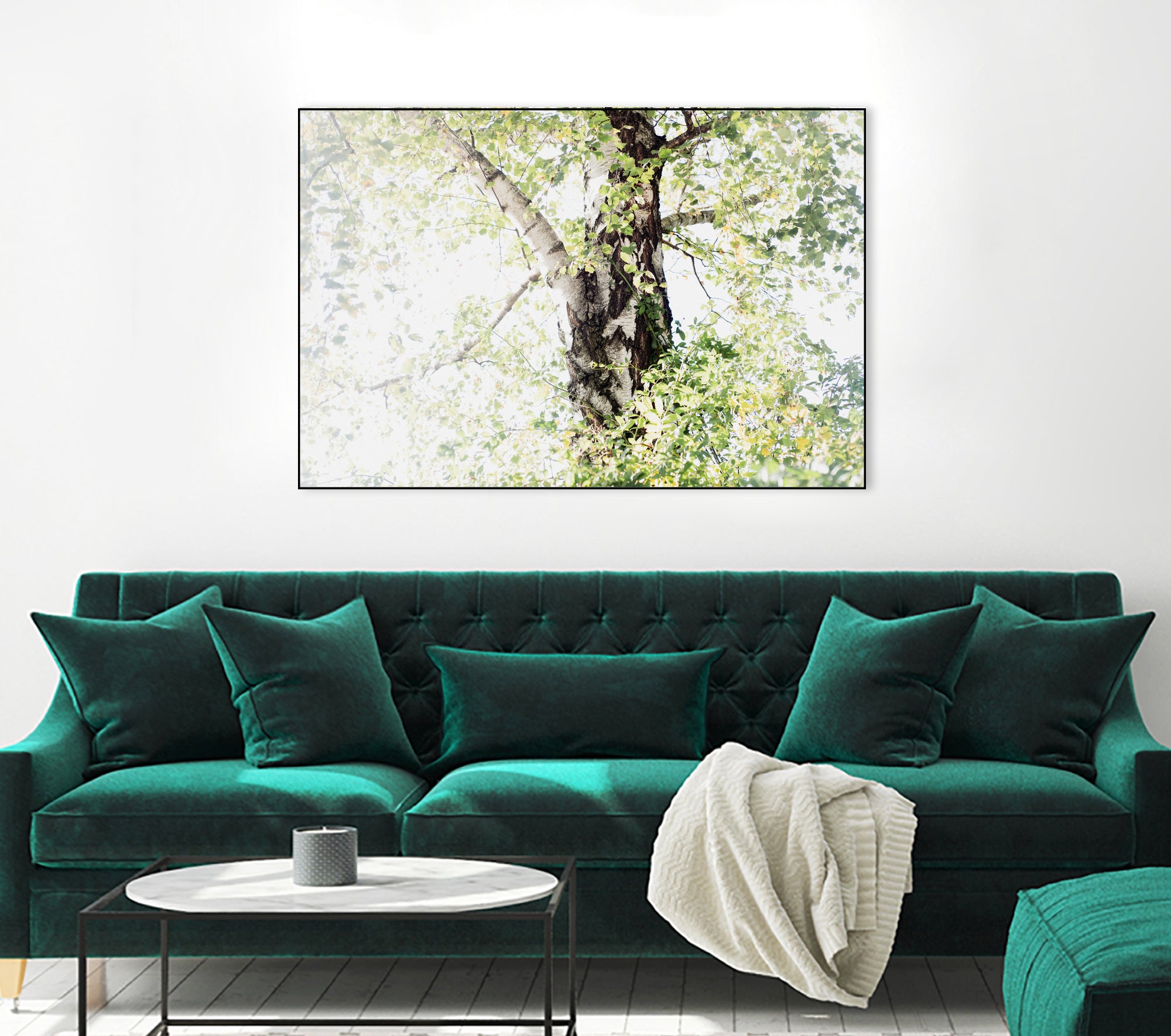 Dreamy Birch Tree 1 by Anitas Bellas Art on GIANT ART - coastal