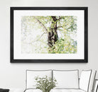 Dreamy Birch Tree 1 by Anitas Bellas Art on GIANT ART - coastal