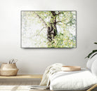 Dreamy Birch Tree 1 by Anitas Bellas Art on GIANT ART - coastal