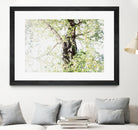 Dreamy Birch Tree 1 by Anitas Bellas Art on GIANT ART - coastal