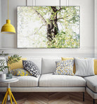 Dreamy Birch Tree 1 by Anitas Bellas Art on GIANT ART - coastal