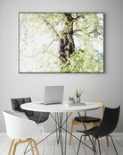 Dreamy Birch Tree 1 by Anitas Bellas Art on GIANT ART - coastal