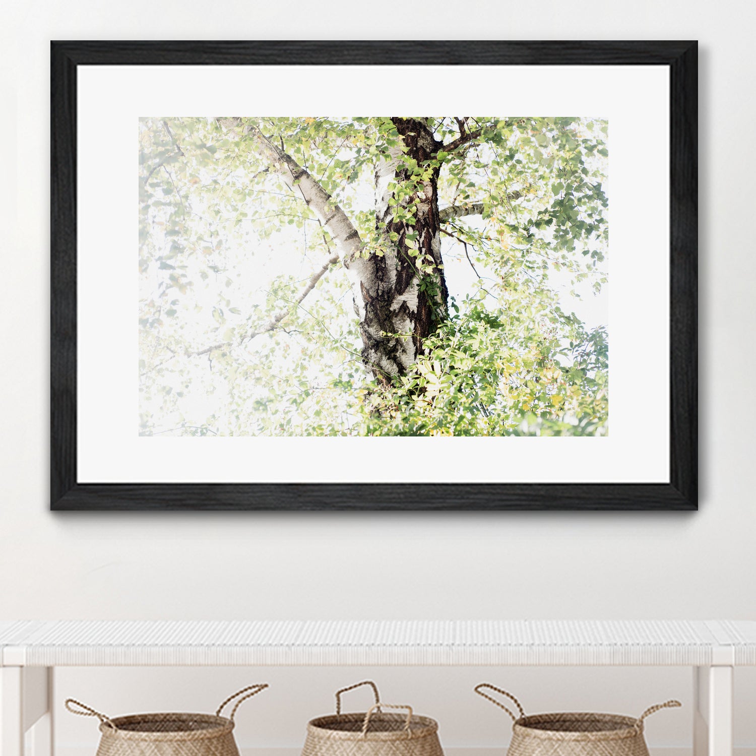 Dreamy Birch Tree 1 by Anitas Bellas Art on GIANT ART - coastal