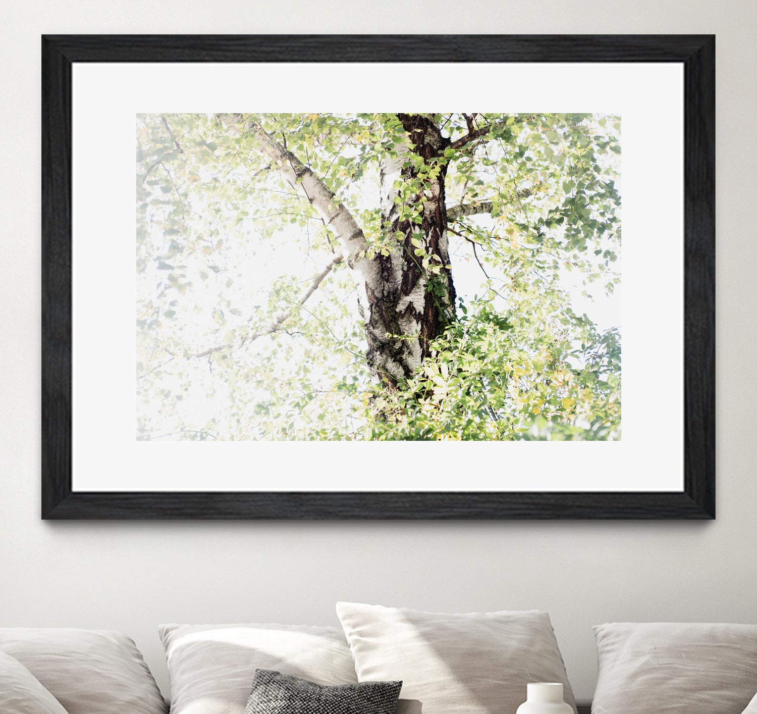 Dreamy Birch Tree 1 by Anitas Bellas Art on GIANT ART - coastal