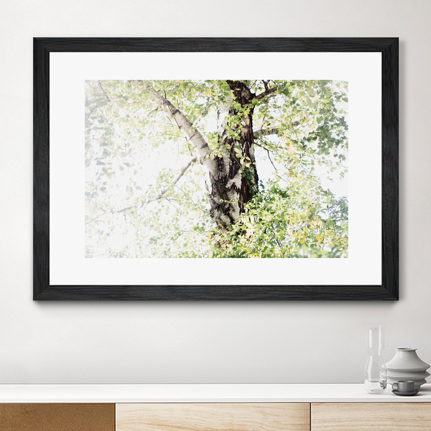 Dreamy Birch Tree 1 by Anitas Bellas Art on GIANT ART - coastal