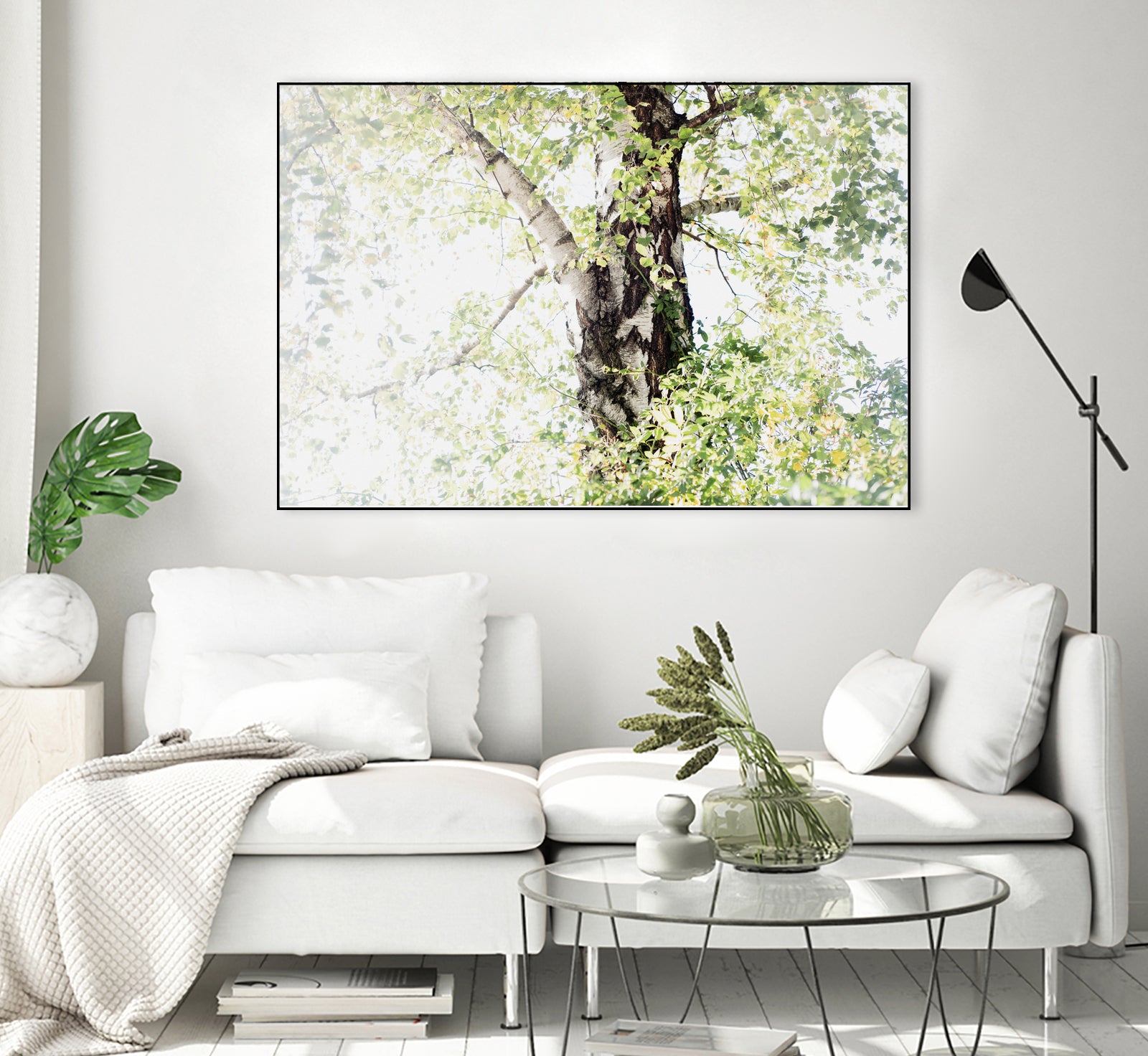 Dreamy Birch Tree 1 by Anitas Bellas Art on GIANT ART - coastal