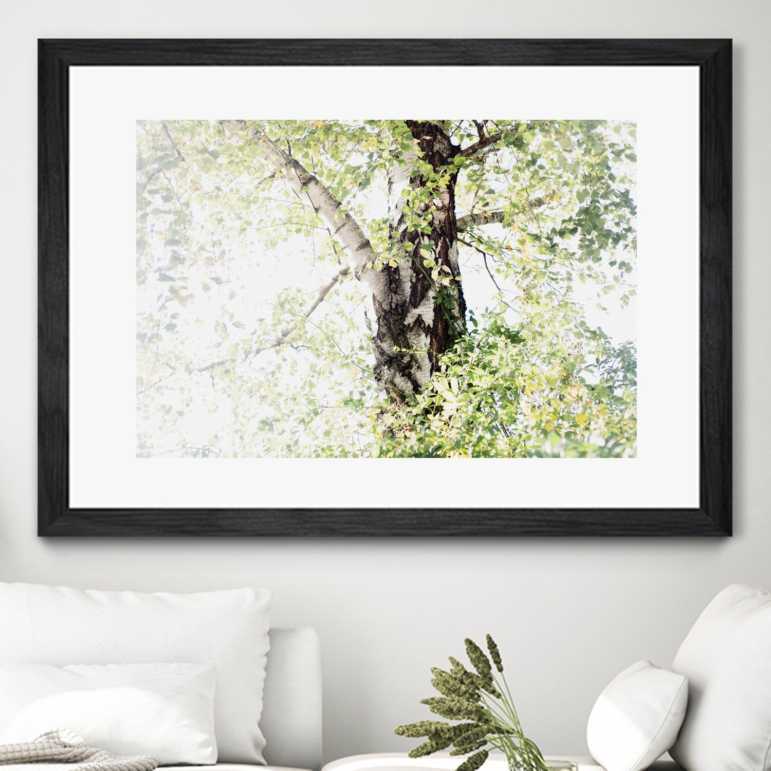 Dreamy Birch Tree 1 by Anitas Bellas Art on GIANT ART - coastal