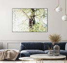 Dreamy Birch Tree 1 by Anitas Bellas Art on GIANT ART - coastal