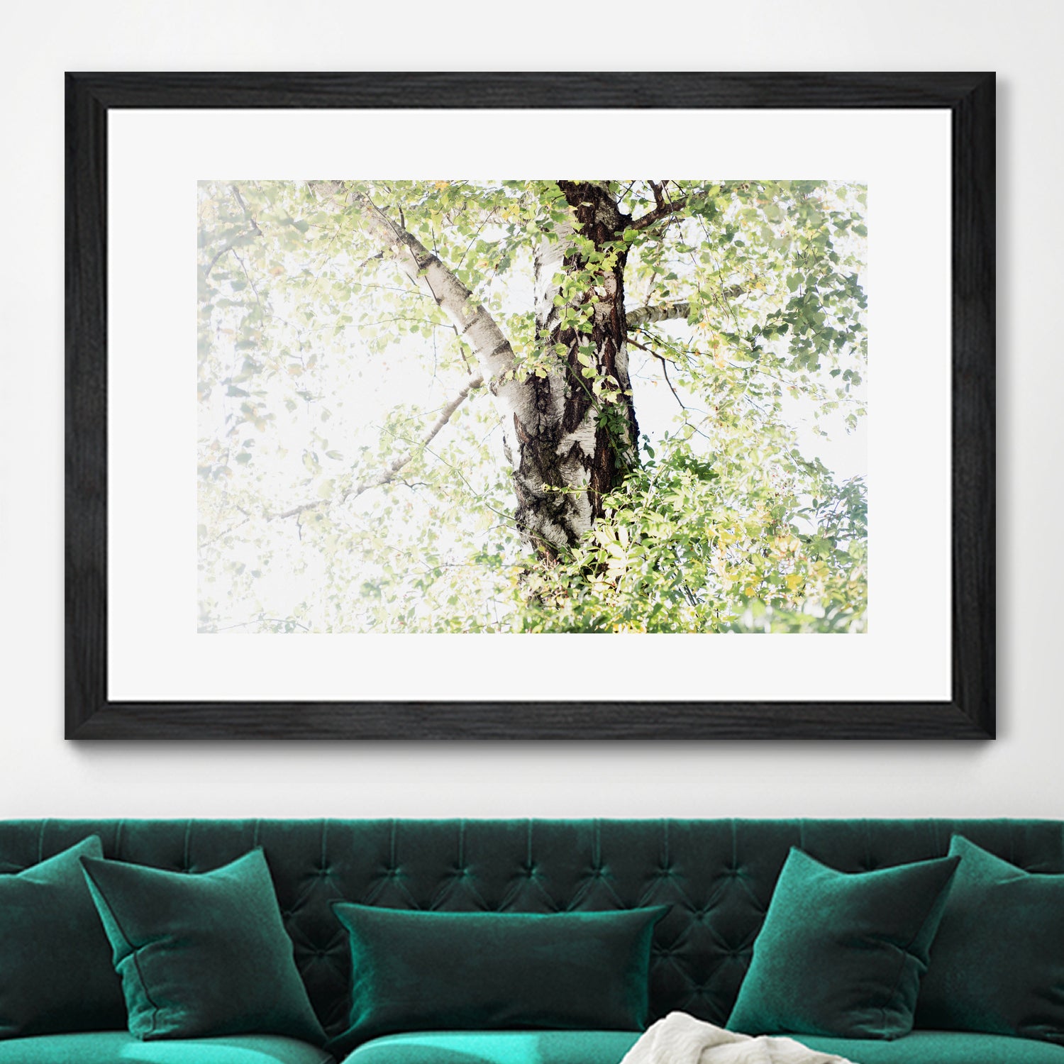 Dreamy Birch Tree 1 by Anitas Bellas Art on GIANT ART - coastal