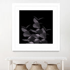 Eucalyptus Leaves Black Black #1 #foliage #decor #art by Anita & Bella Jantz on GIANT ART - black photo illustration