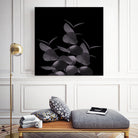 Eucalyptus Leaves Black Black #1 #foliage #decor #art by Anita & Bella Jantz on GIANT ART - black photo illustration