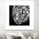 Nightstalker B&W by Marc Allante on GIANT ART - white photo illustration