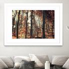 Fall in the woods by Pascal Deckarm on GIANT ART - orange photo manipulation