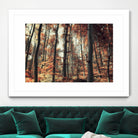 Fall in the woods by Pascal Deckarm on GIANT ART - orange photo manipulation