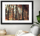 Fall in the woods by Pascal Deckarm on GIANT ART - orange photo manipulation