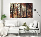 Fall in the woods by Pascal Deckarm on GIANT ART - orange photo manipulation