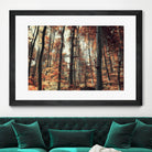 Fall in the woods by Pascal Deckarm on GIANT ART - orange photo manipulation