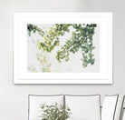 Ginkgo Leaves Dream 1 by Anitas Bellas Art on GIANT ART - coastal