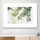 Ginkgo Leaves Dream 1 by Anitas Bellas Art on GIANT ART - coastal