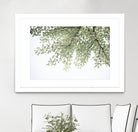 Ginkgo Leaves Dream 4 by Anitas Bellas Art on GIANT ART - coastal