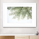 Ginkgo Leaves Dream 4 by Anitas Bellas Art on GIANT ART - coastal