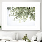 Ginkgo Leaves Dream 4 by Anitas Bellas Art on GIANT ART - coastal