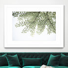 Ginkgo Leaves Dream 4 by Anitas Bellas Art on GIANT ART - coastal