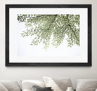 Ginkgo Leaves Dream 4 by Anitas Bellas Art on GIANT ART - coastal